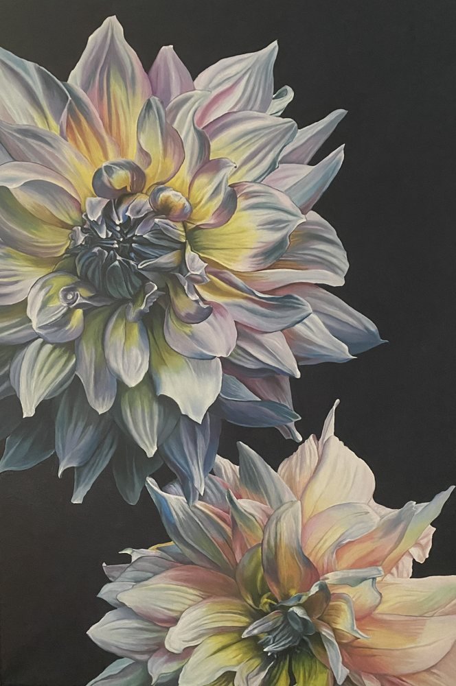 Dahlias
