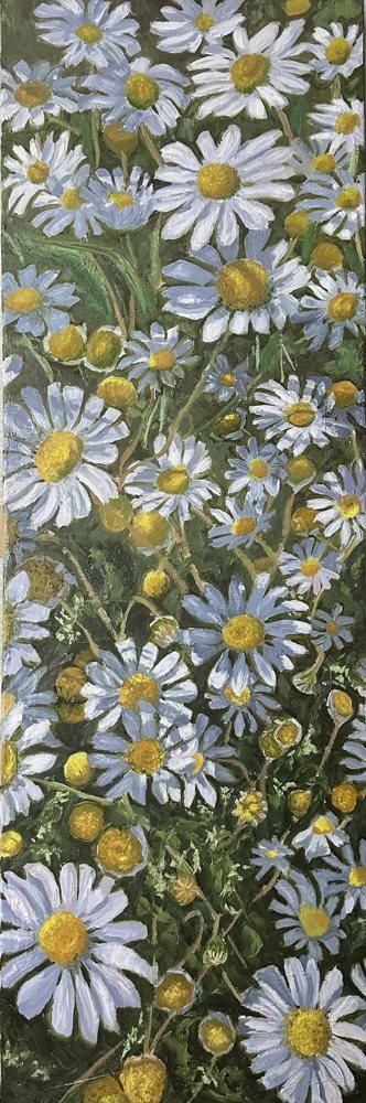 Daisies
