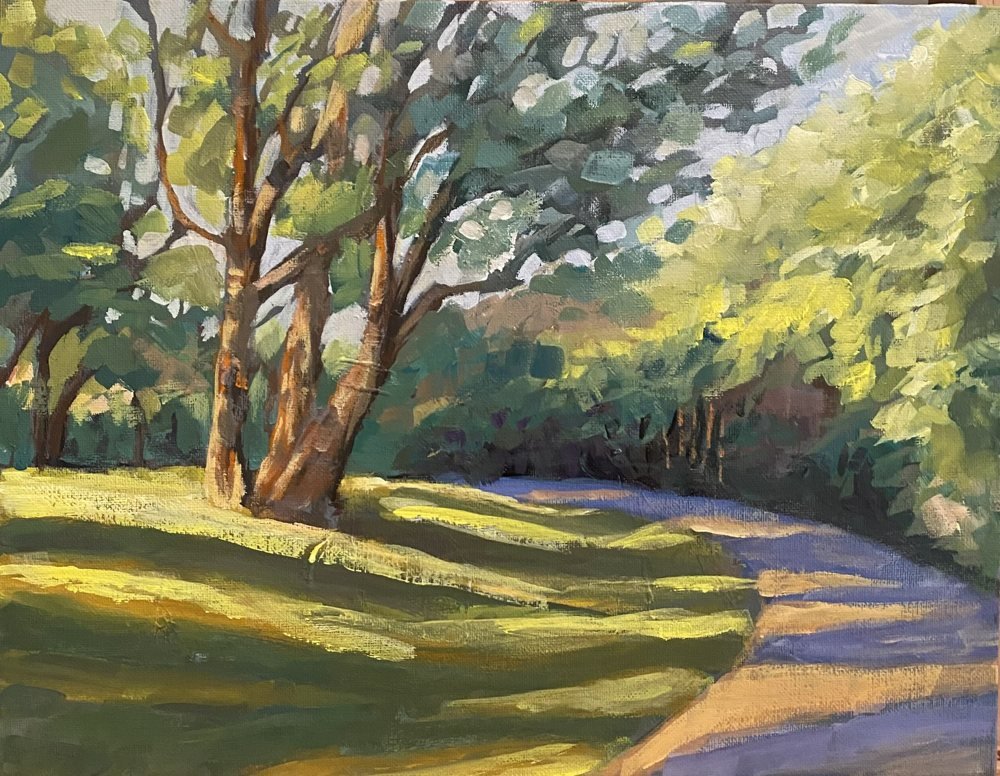Dappled Light