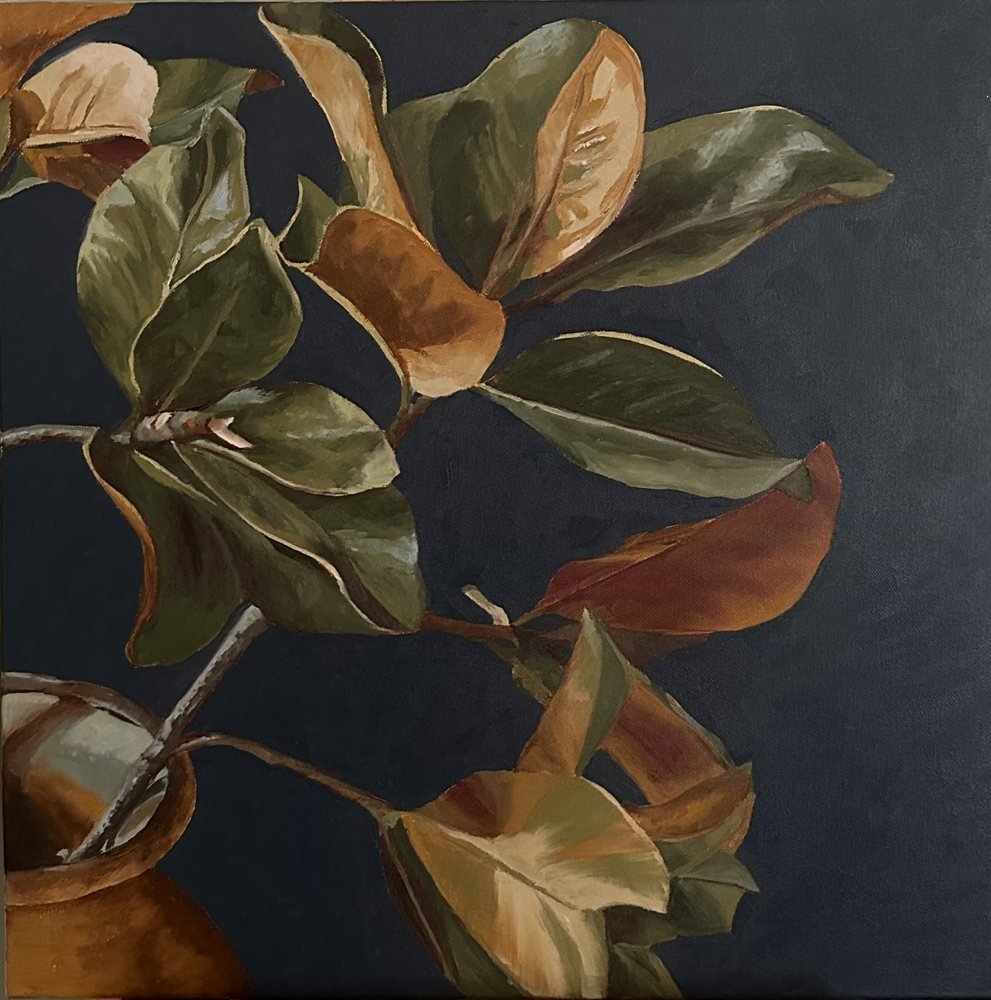 Ficus Study II