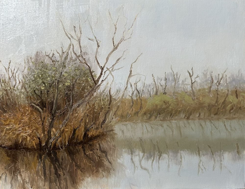 Marsh in November