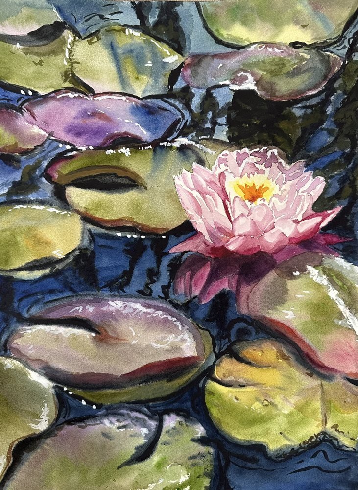 Water Lily