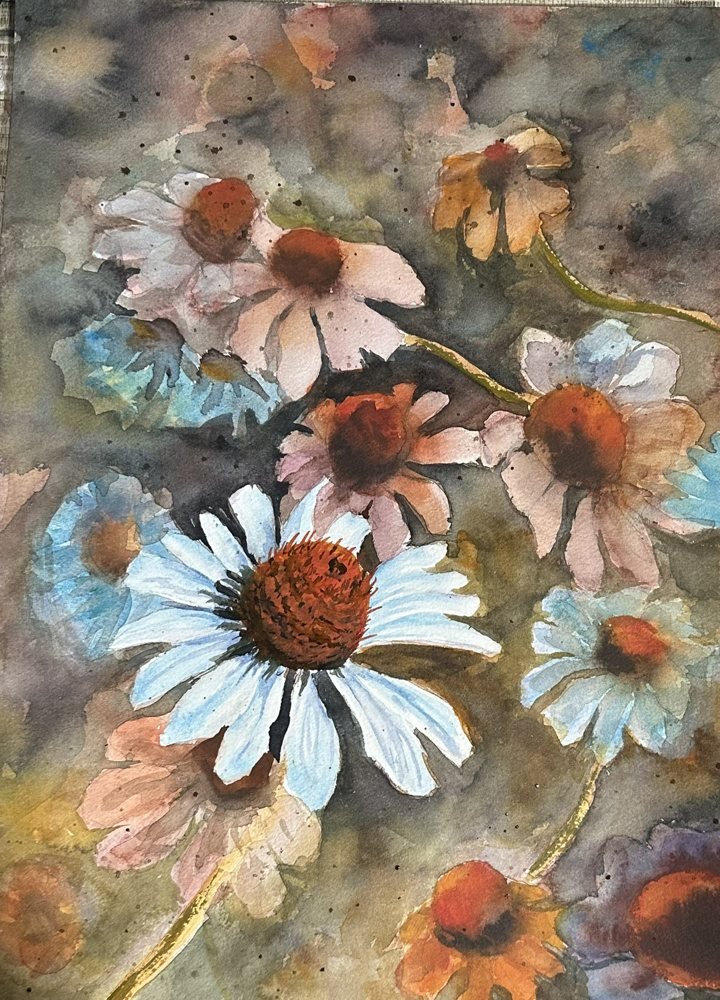 Wild Daisy
