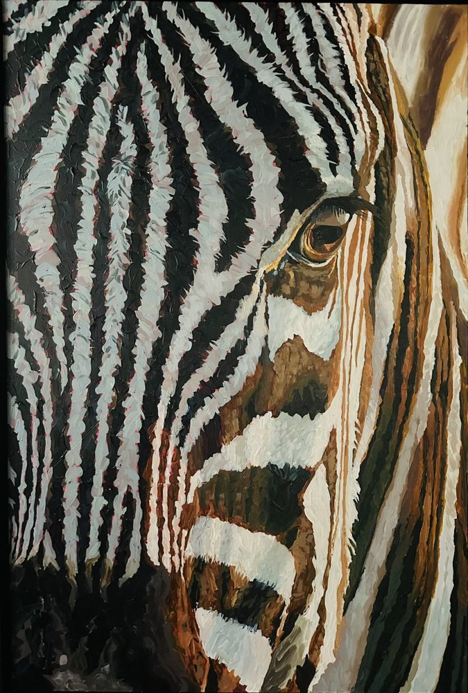 Zebra